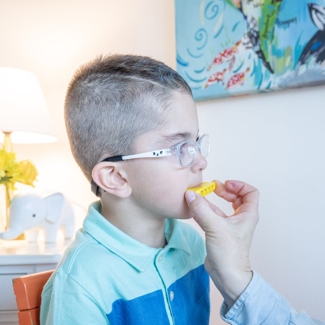 TalkTools Horn #2 - A horn instrument from the TalkTools Horn Hierarchy, designed for speech therapy and oral motor exercises. It represents an intermediate level of difficulty for blowing exercises, with #1 being the easiest and #12 the most challenging