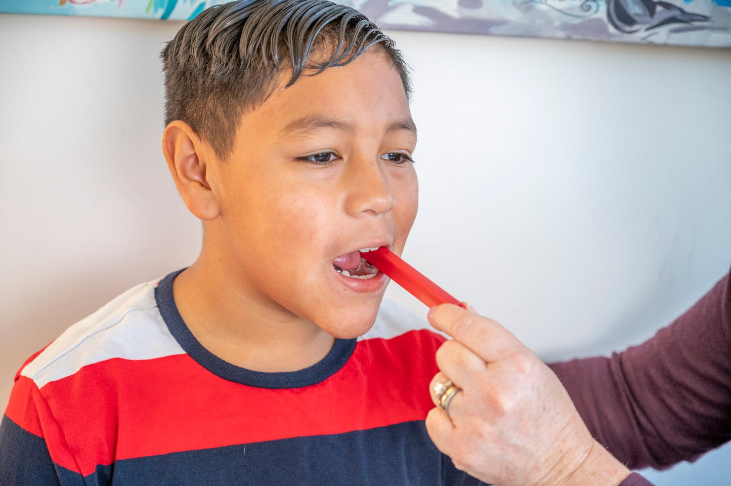 OPT™: Assessment and Program Plan Development